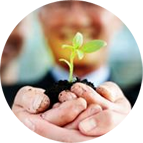 Sustainability